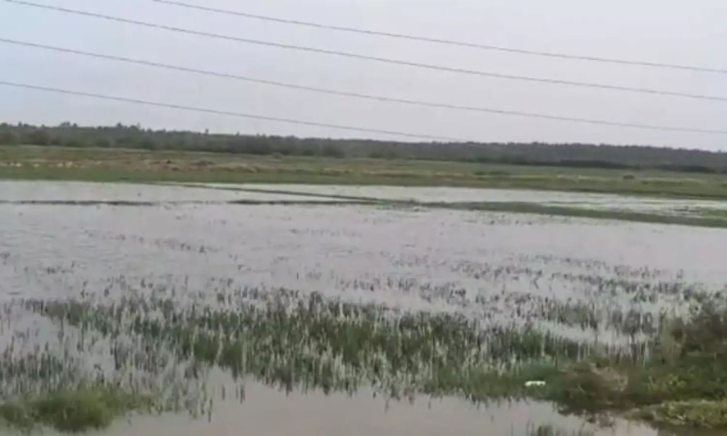Nellore Nellore