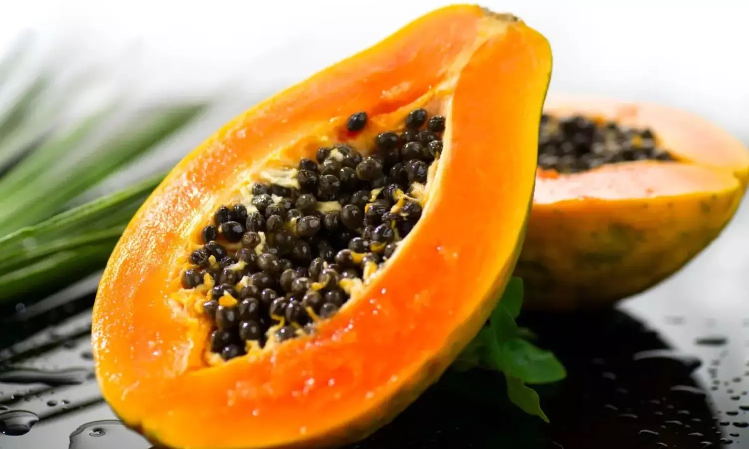 Papaya Papaya