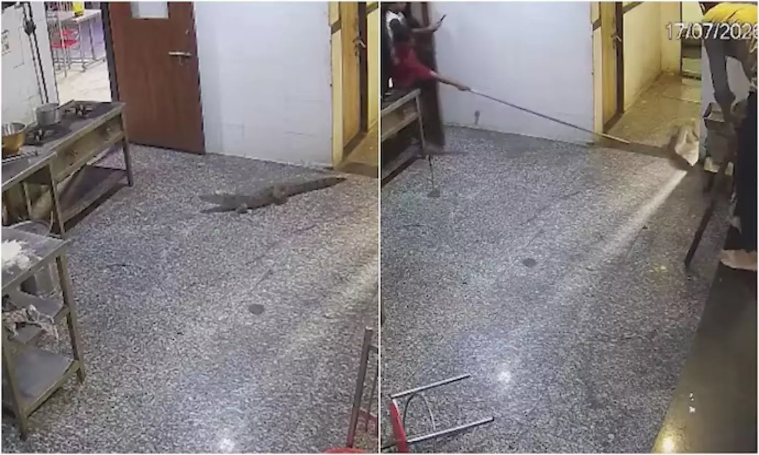 Viral Video Viral Video