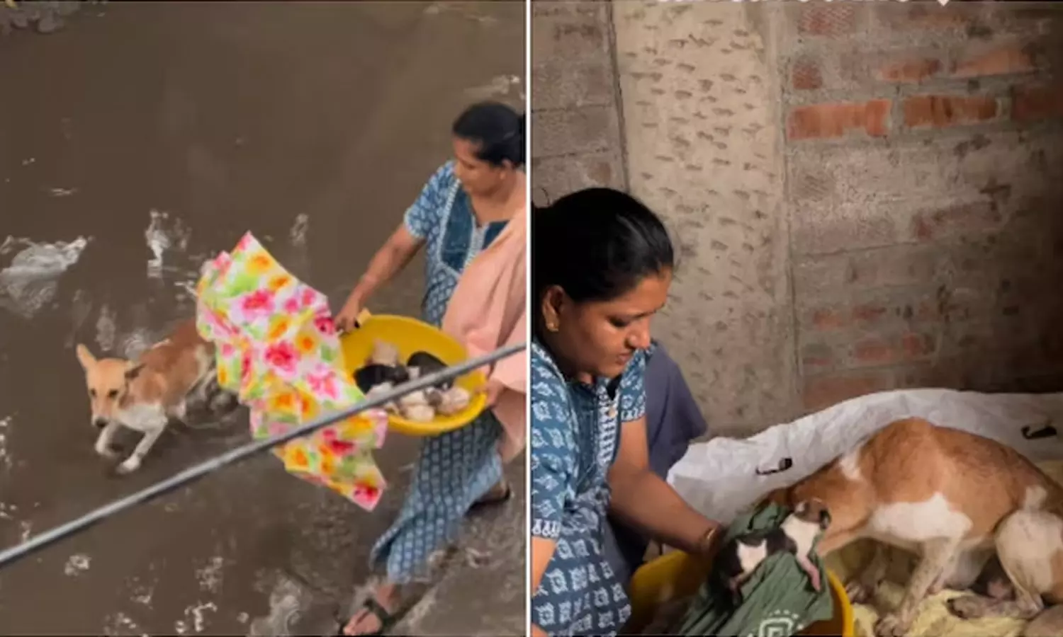 Viral-Video Viral-Video