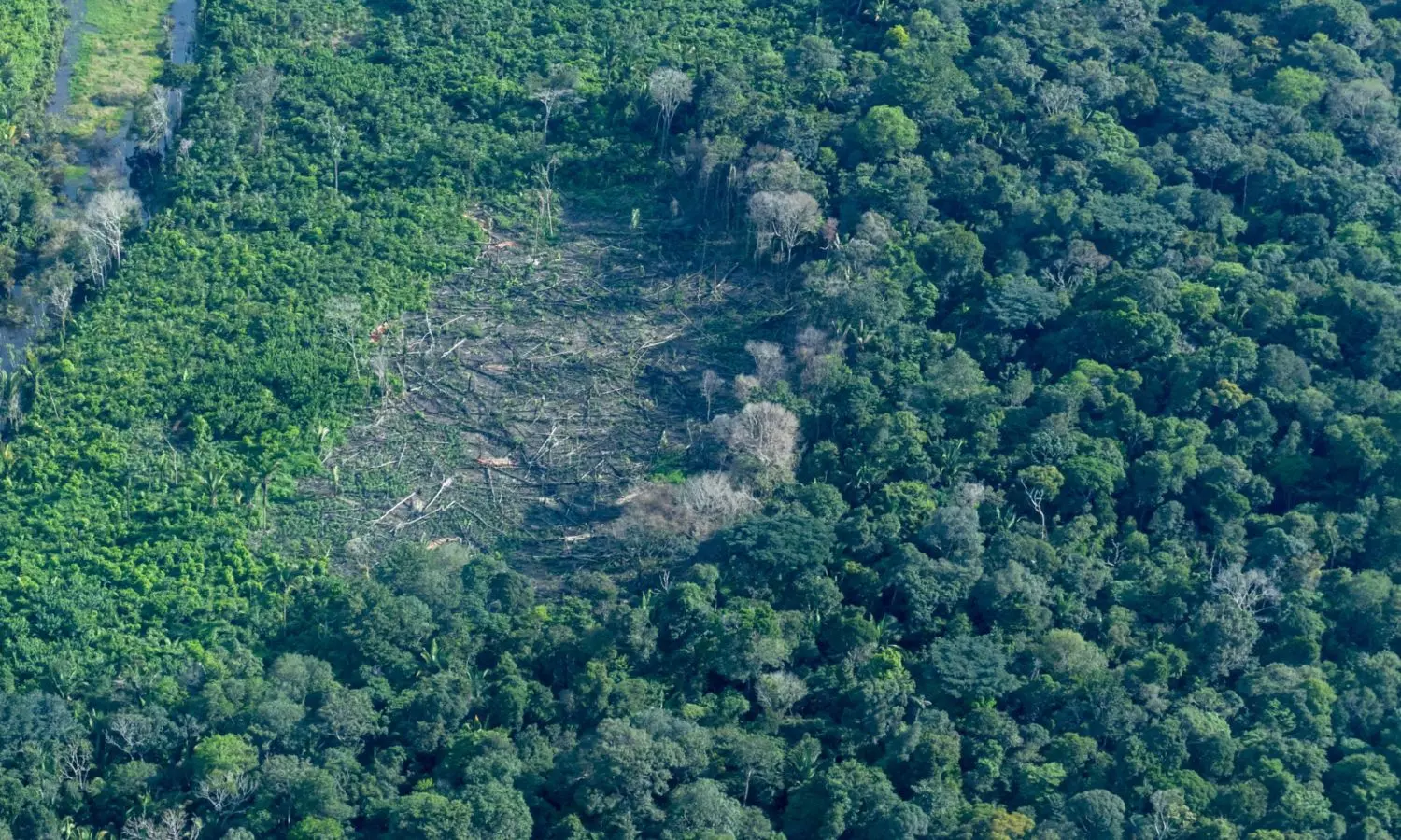 Amazon Forest: కోలుకుంటున్న అమెజాన్... తప్పని ఎల్నినో ఎఫెక్ట్ Amazon Forest: కోలుకుంటున్న అమెజాన్... తప్పని ఎల్నినో ఎఫెక్ట్