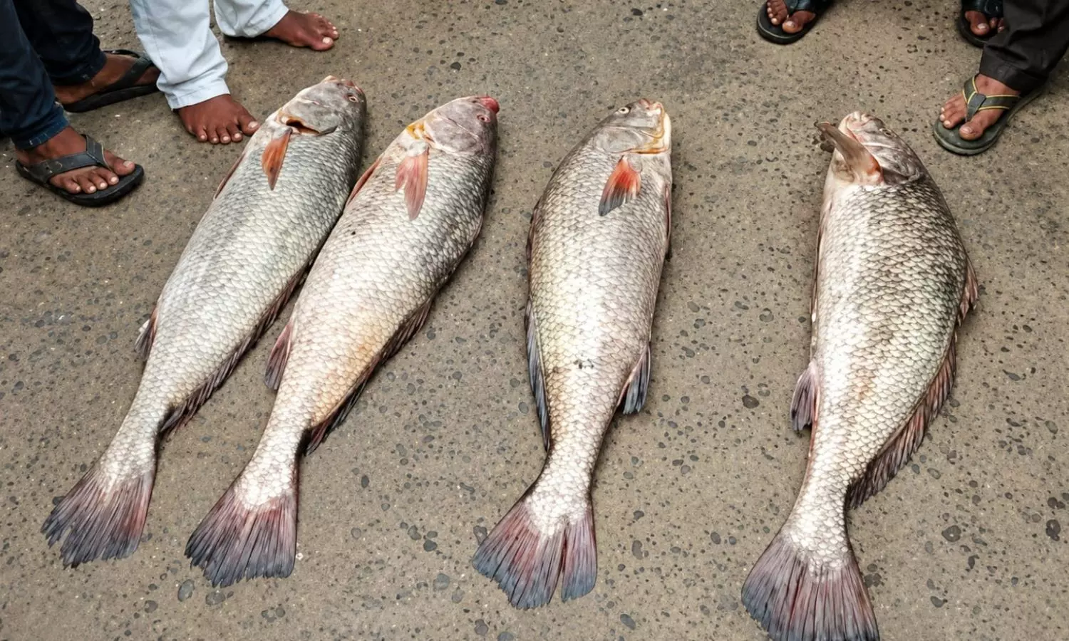 Antharvedi Pallipalem Antharvedi Pallipalem