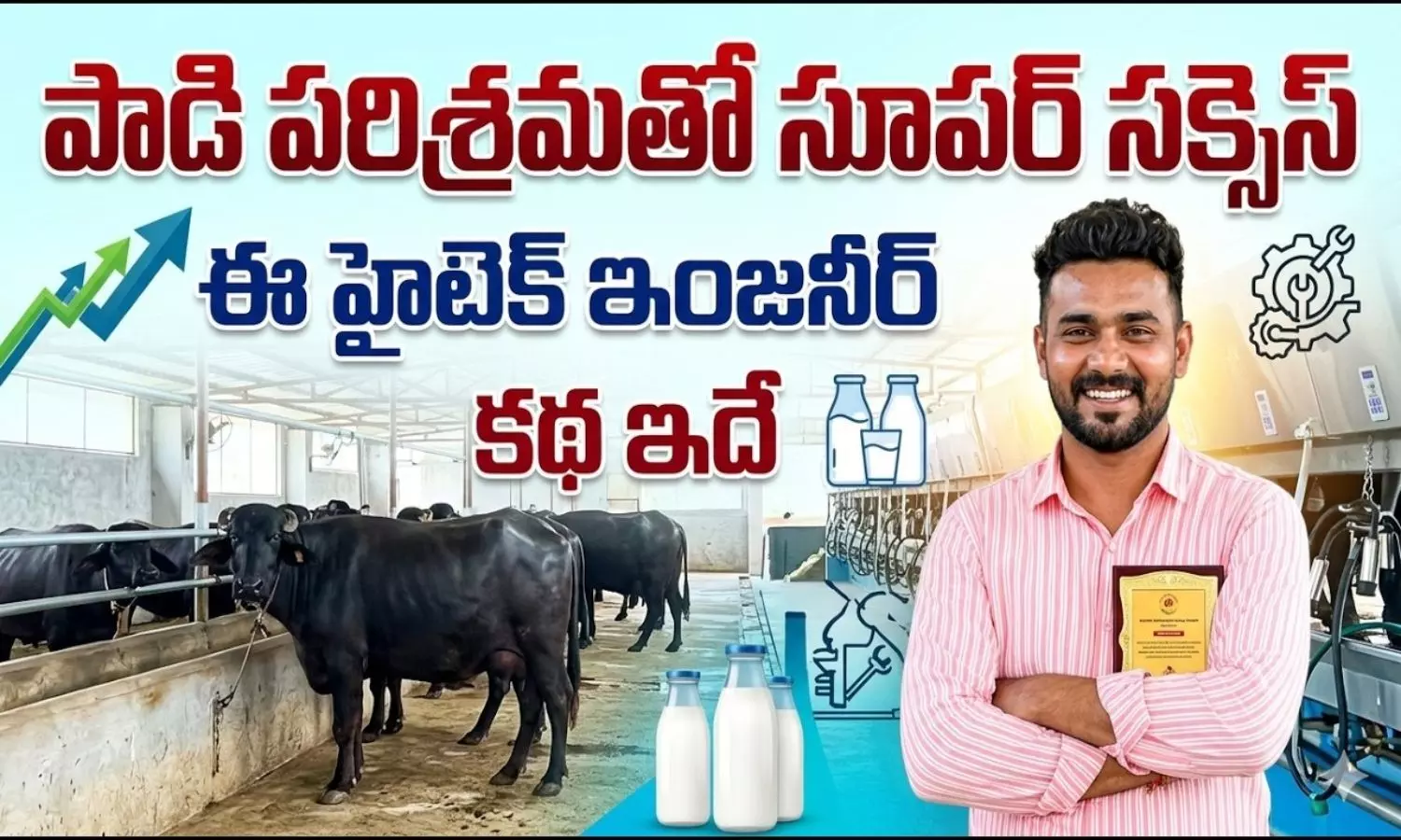 Dairy Farming Success Story
