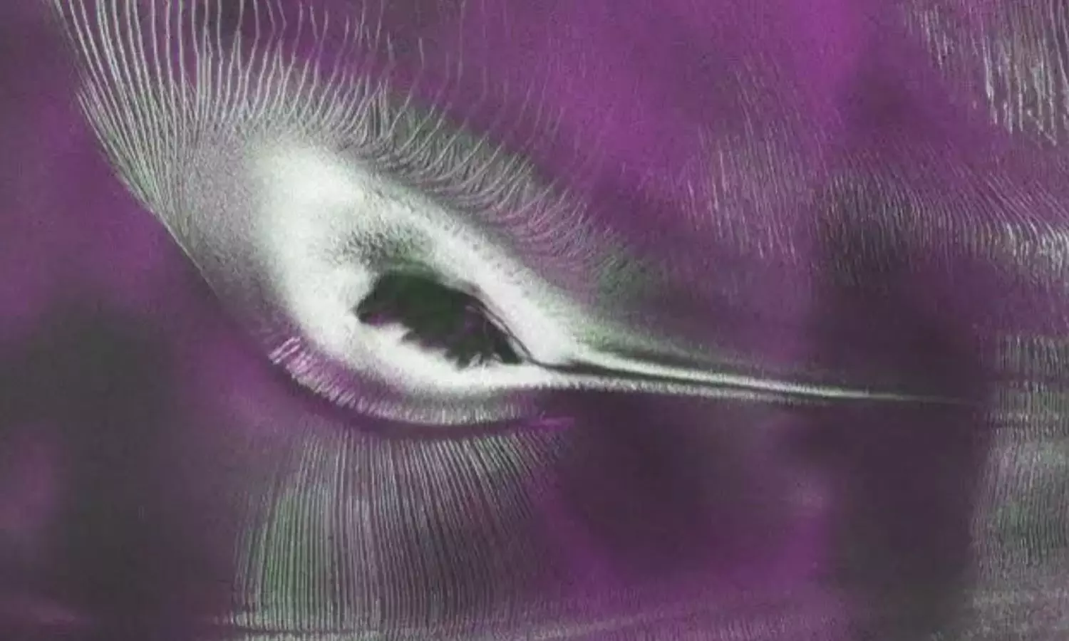 NISAR Satellite Captures Hummingbird Shape in Antarctica