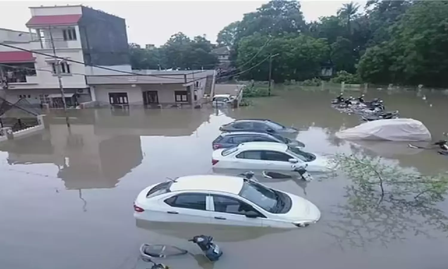 Gujarat Rains Gujarat Rains