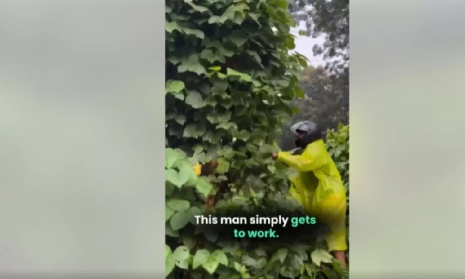 Viral Video