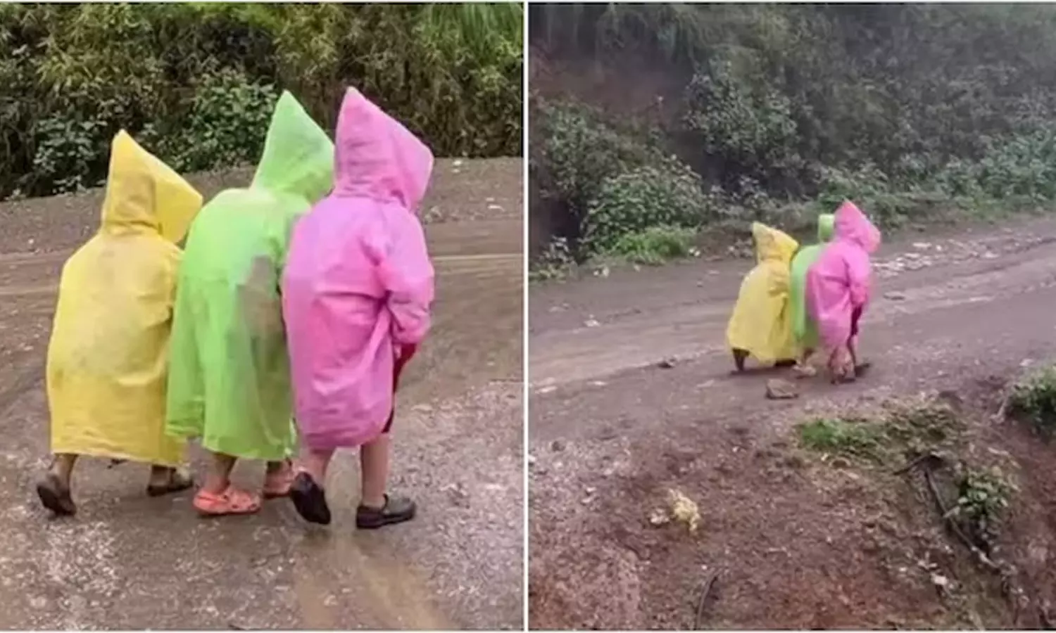 Viral-Video Viral-Video