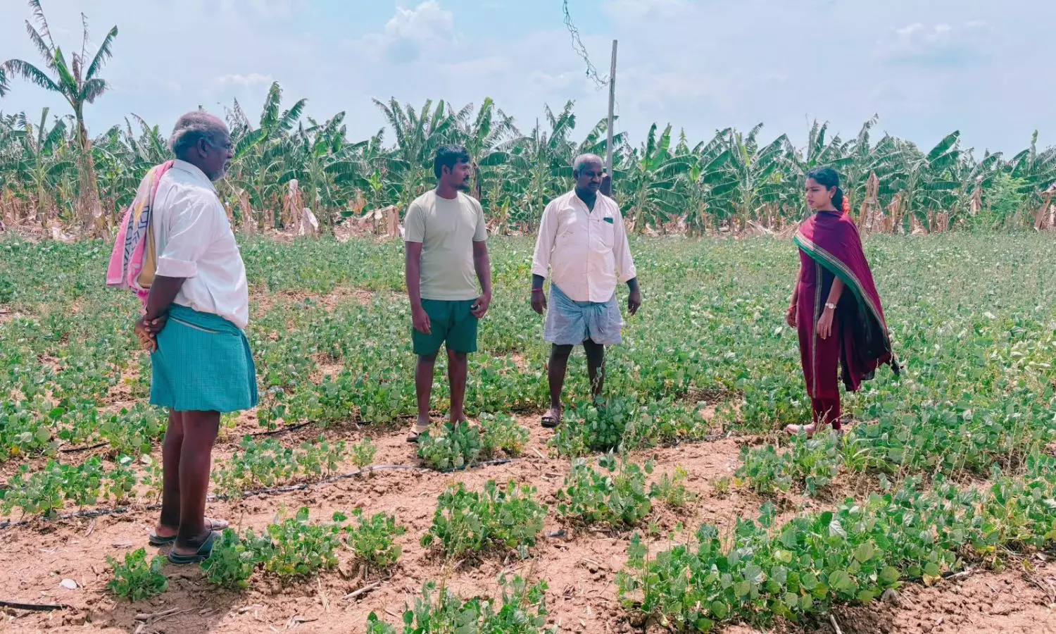 Giddalur Giddalur