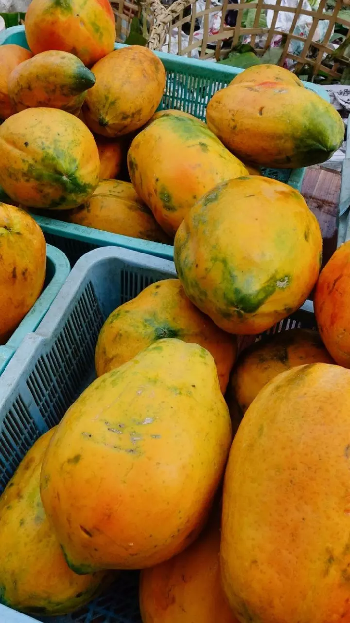 Papaya : ఈ 7 రకాల ఆరోగ్య సమస్యలు ఉన్నవారు బొప్పాయి తింటే డేంజర్