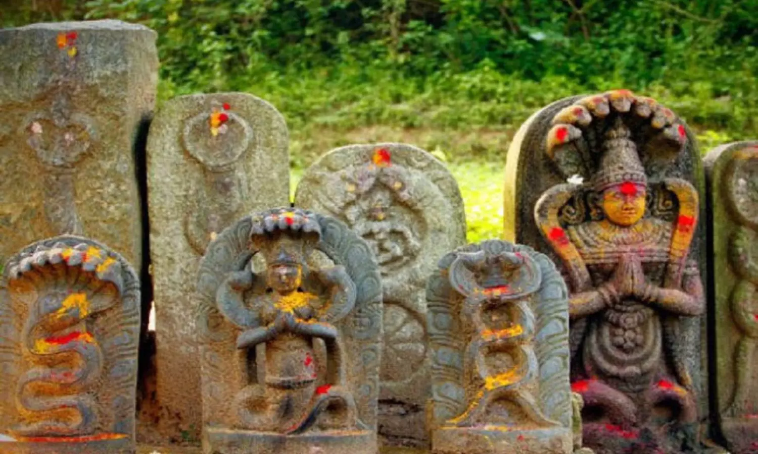 Naga Panchami: పెద్దలు చేసిన విధంగా ఆగస్టు 17న నాగపంచమికి ఇలా చేయండి... ఈ దోషాల నుంచి సత్వర విముక్తి పొందండి