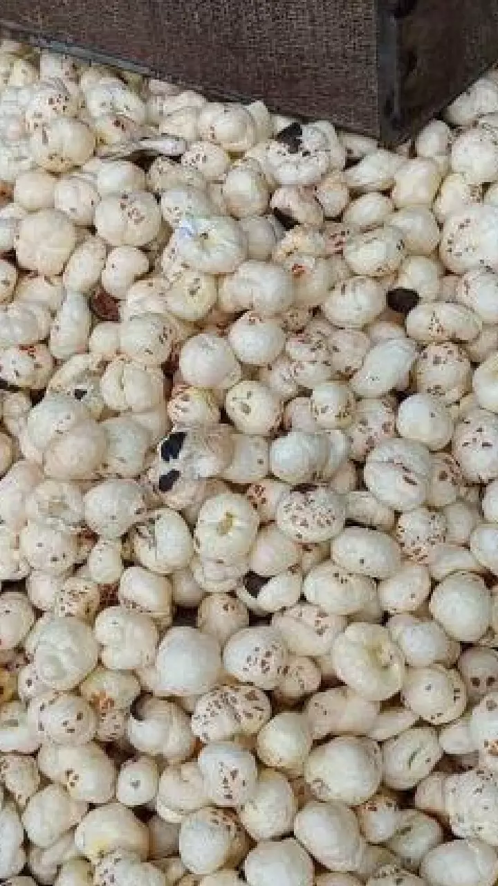 Makhana : నరనరాల్లో బలహీనతను తరిమికొట్టే సూపర్ ఫుడ్