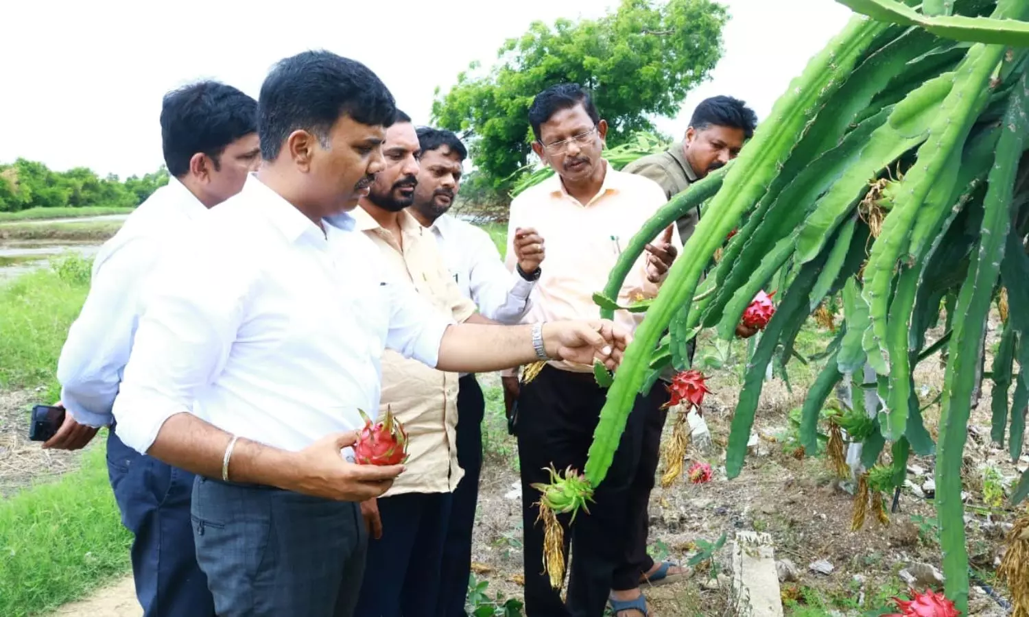 Nalgonda