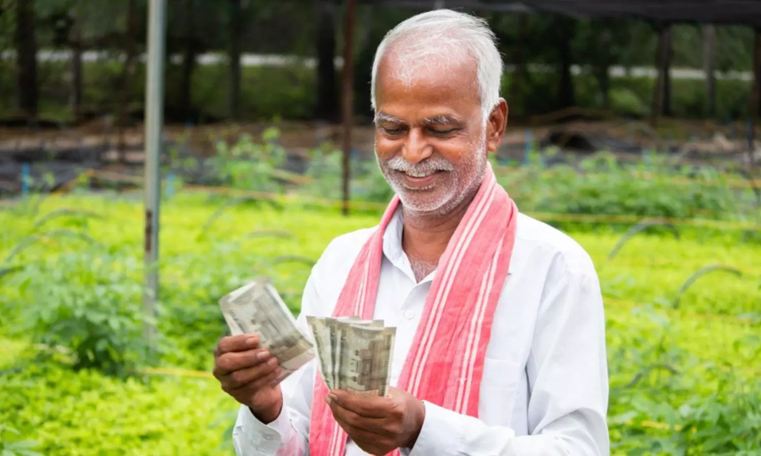 PM Kisan 24th Installment PM Kisan 24th Installment