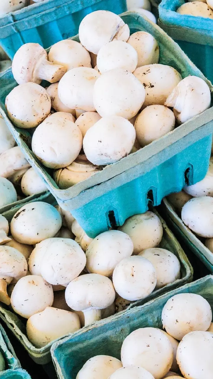 Mushroom : వర్షాకాలంలో పుట్టగొడుగులు తింటున్నారా? ఈ జాగ్రత్తలు తప్పనిసరి