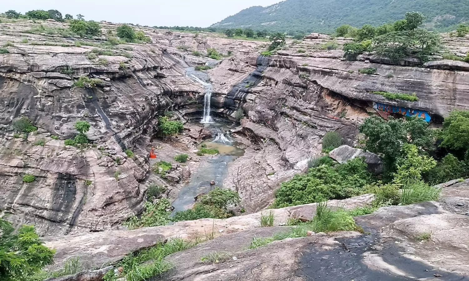 Peddapalli