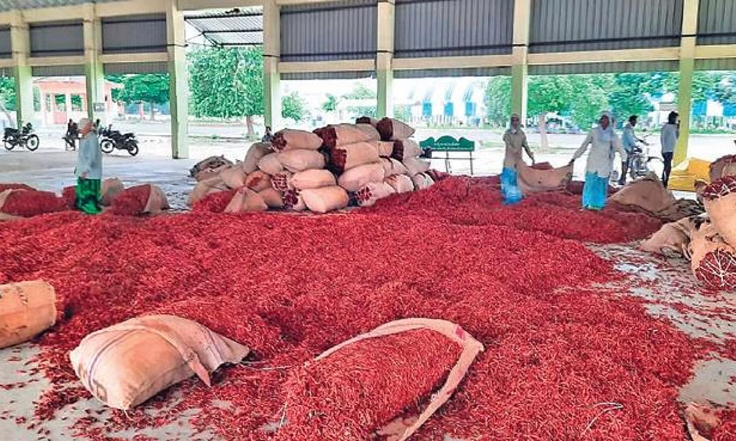 గుంటూరులో మిర్చి ధరలు భారీగా పెరుగుదల