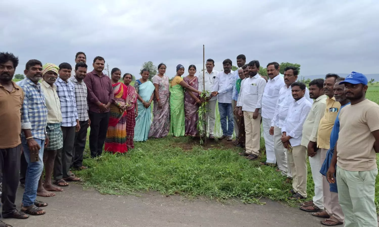 Peddapalli Peddapalli