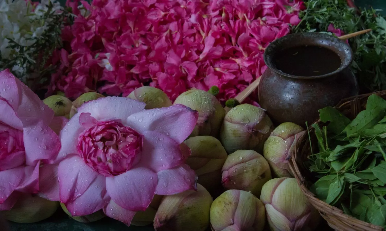 Sawan Flower Worship: శ్రావణంలో ఏ పువ్వులతో ఎవరికి పూజ చేయాలి? Sawan Flower Worship: శ్రావణంలో ఏ పువ్వులతో ఎవరికి పూజ చేయాలి?