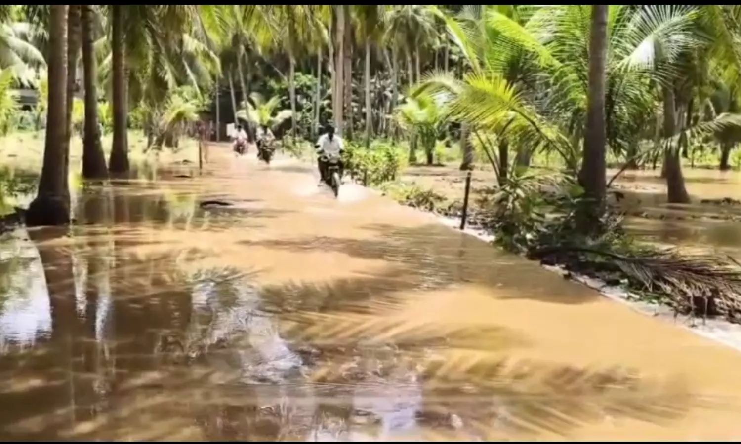 P Gannavaram P Gannavaram