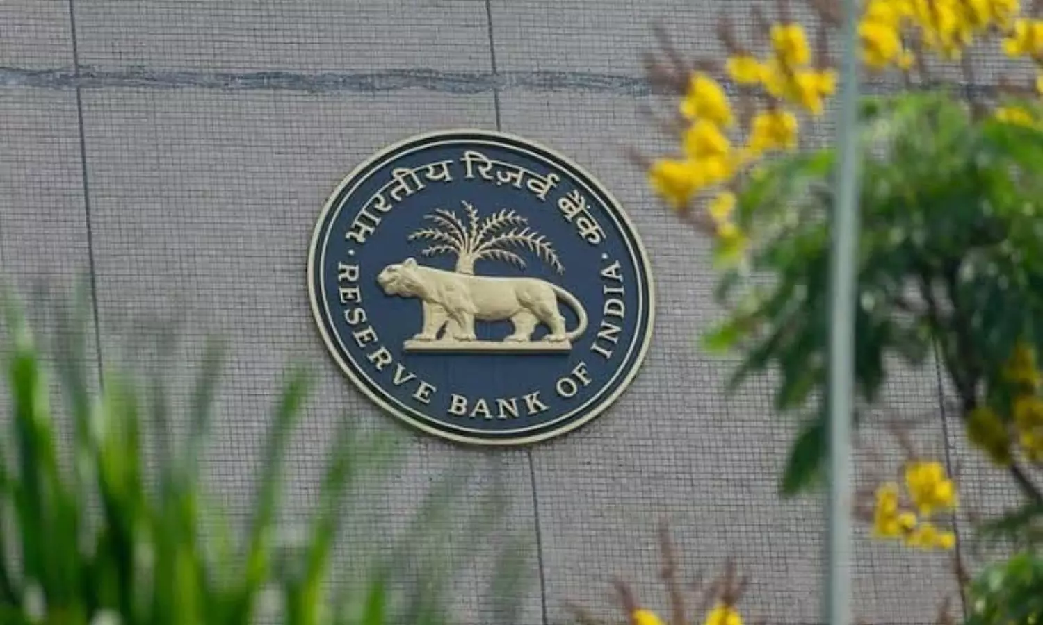RBI RBI