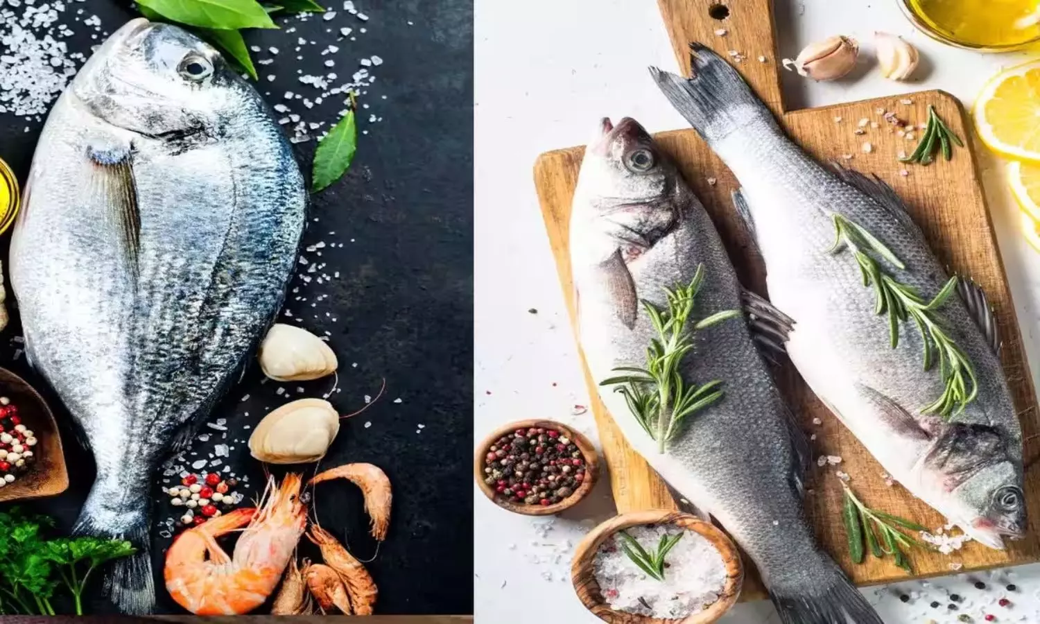 Harmful Fish in Monsoon