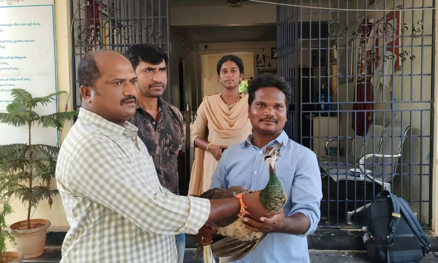 Nellore Nellore