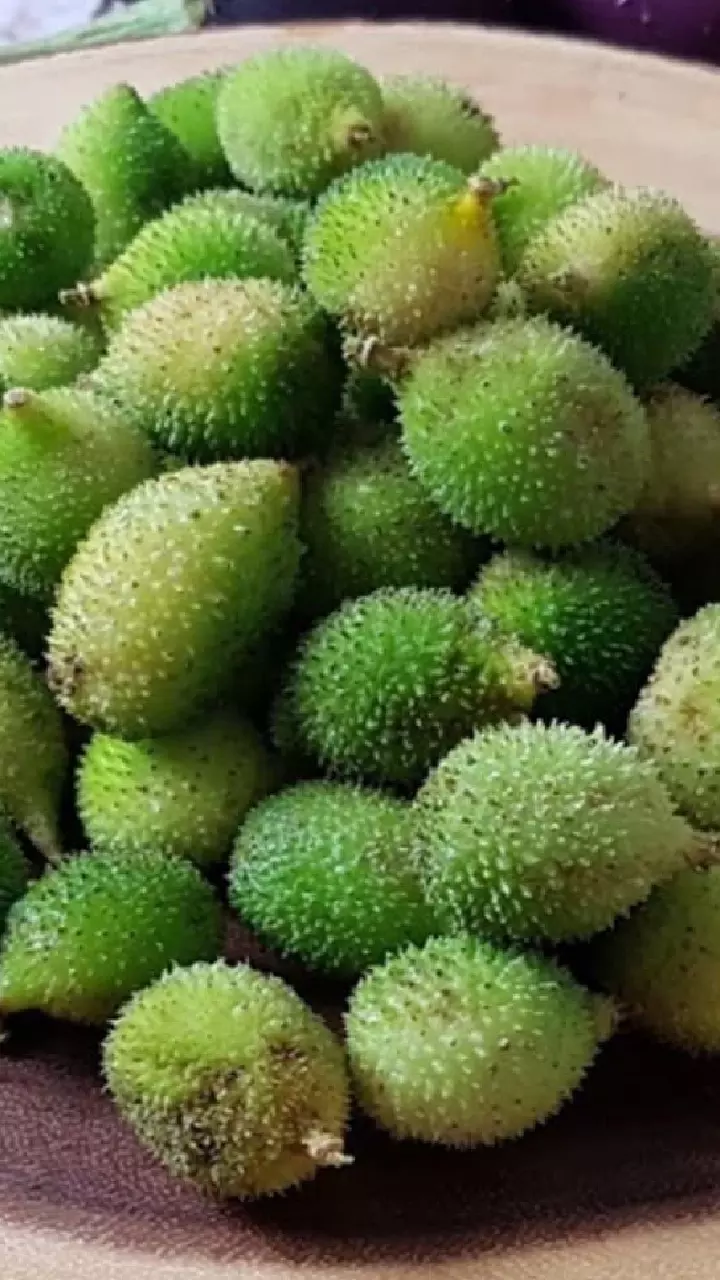 Teasel Gourd : చిన్నగా ఉందని చులకన వద్దు.. చికెన్, మటన్ కంటే ఎక్కువ శక్తినిచ్చే కూరగాయ Teasel Gourd : చిన్నగా ఉందని చులకన వద్దు.. చికెన్, మటన్ కంటే ఎక్కువ శక్తినిచ్చే కూరగాయ
