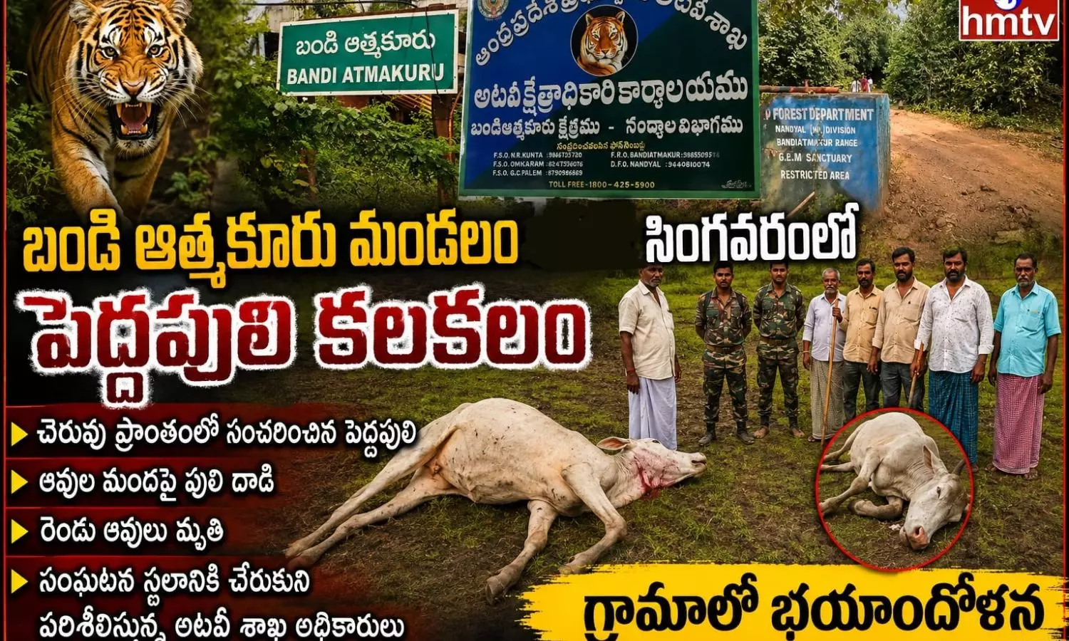Nandyal Nandyal