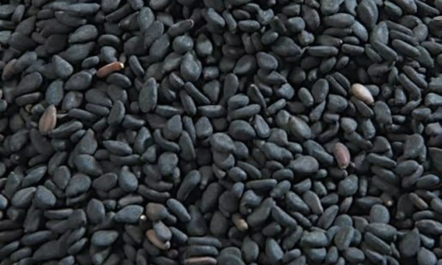 Black Sesame Seeds Benefits Black Sesame Seeds Benefits