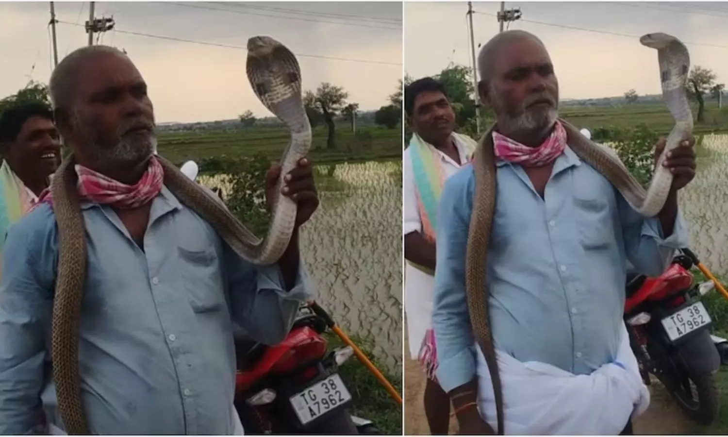 Viral Video Viral Video