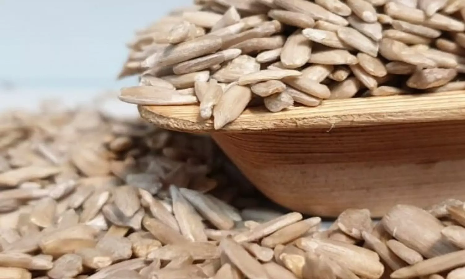 Sunflower Seeds Benefits