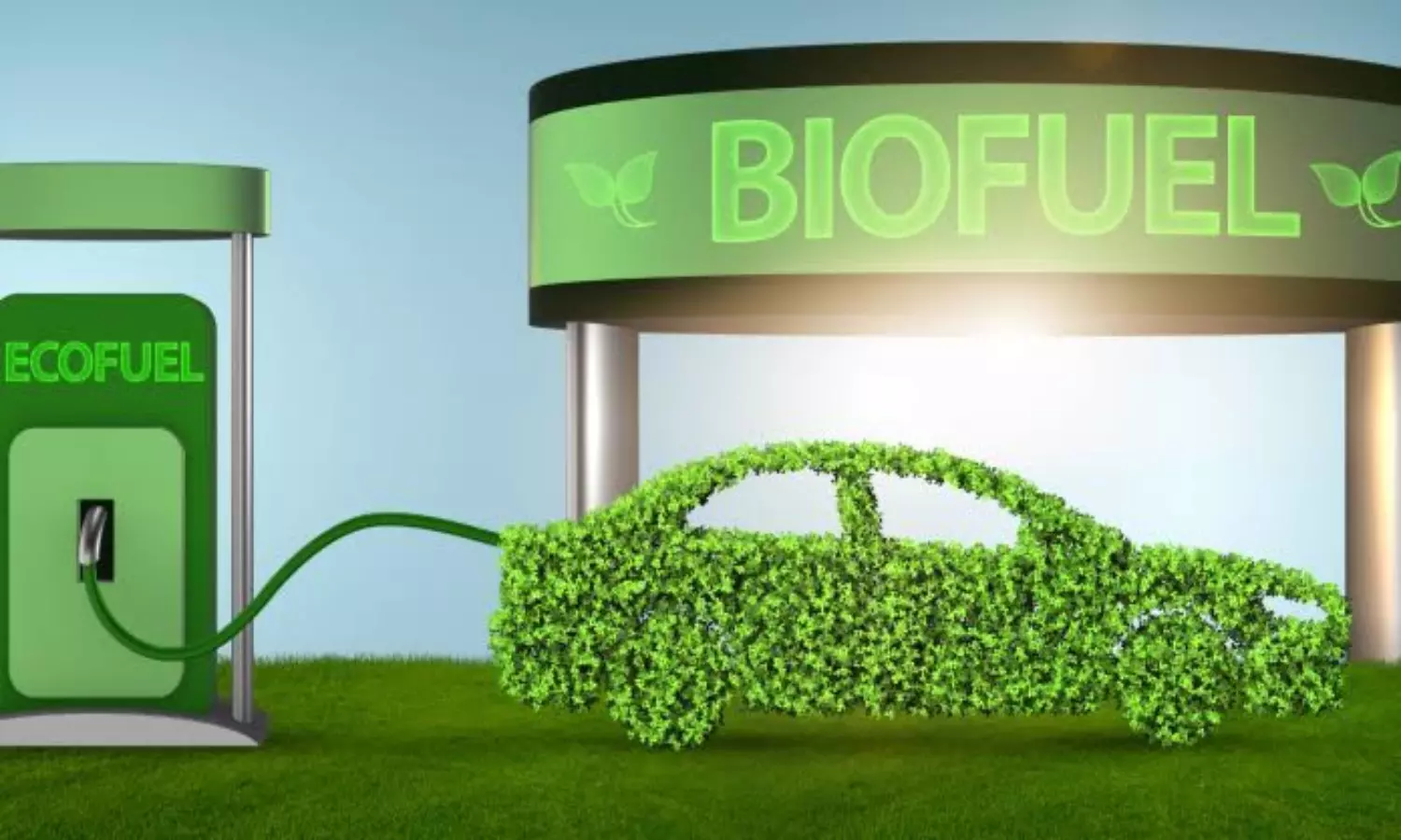 World Biofuel Day 2026