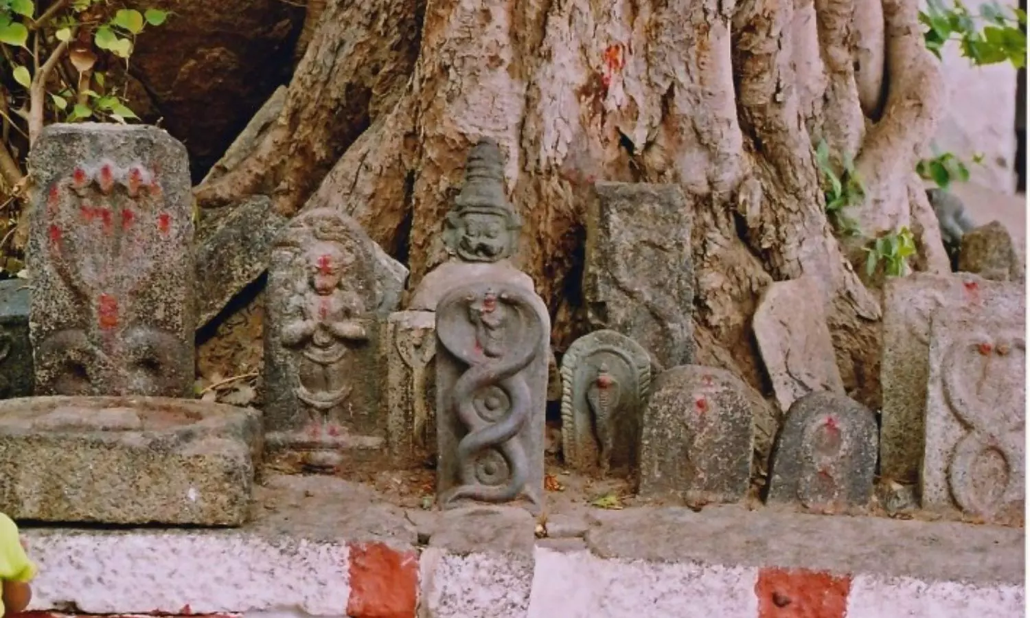 Nag Panchami 2026: నాగపంచమి 2026ః నాగదేవతను ఎప్పుడు పూజించాలి... పూజా సమయం ముహూర్తం వివరాలు ఇవే Nag Panchami 2026: నాగపంచమి 2026ః నాగదేవతను ఎప్పుడు పూజించాలి... పూజా సమయం ముహూర్తం వివరాలు ఇవే