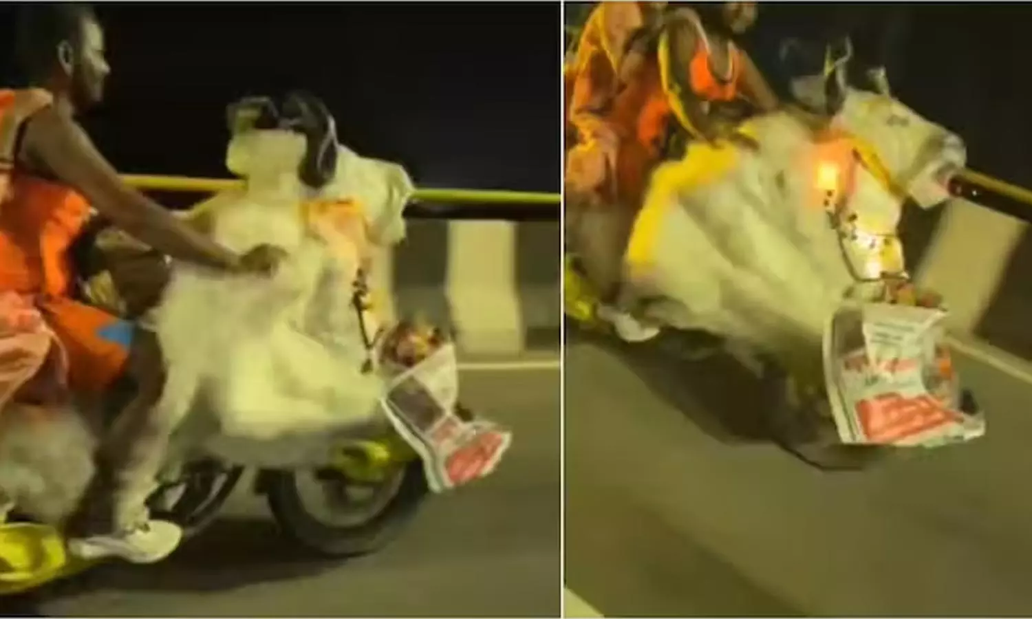 Creative-Ride-Goes-Viral