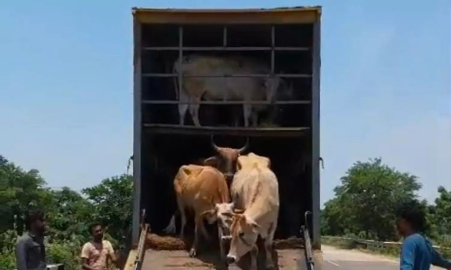 Tuni