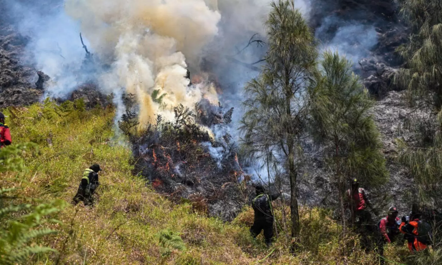 Indonesia Wildfires: చల్లారని మంటలు... ఇండోనేషియానూ దహించివేస్తోంది