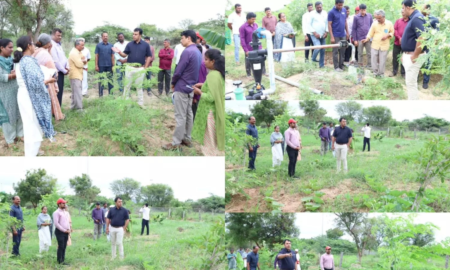 Jangaon Jangaon