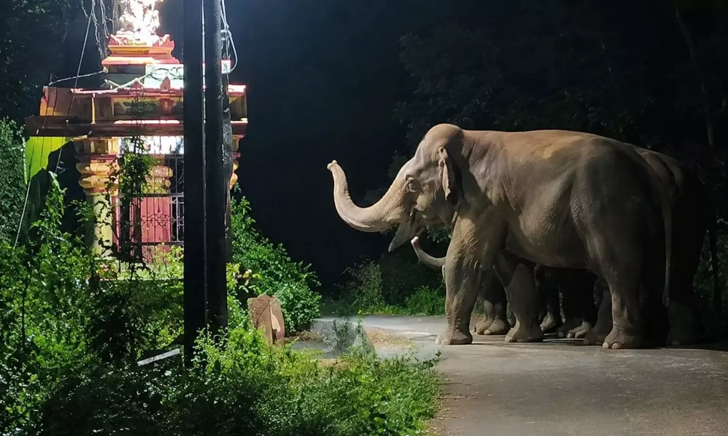 Parvathipuram Parvathipuram