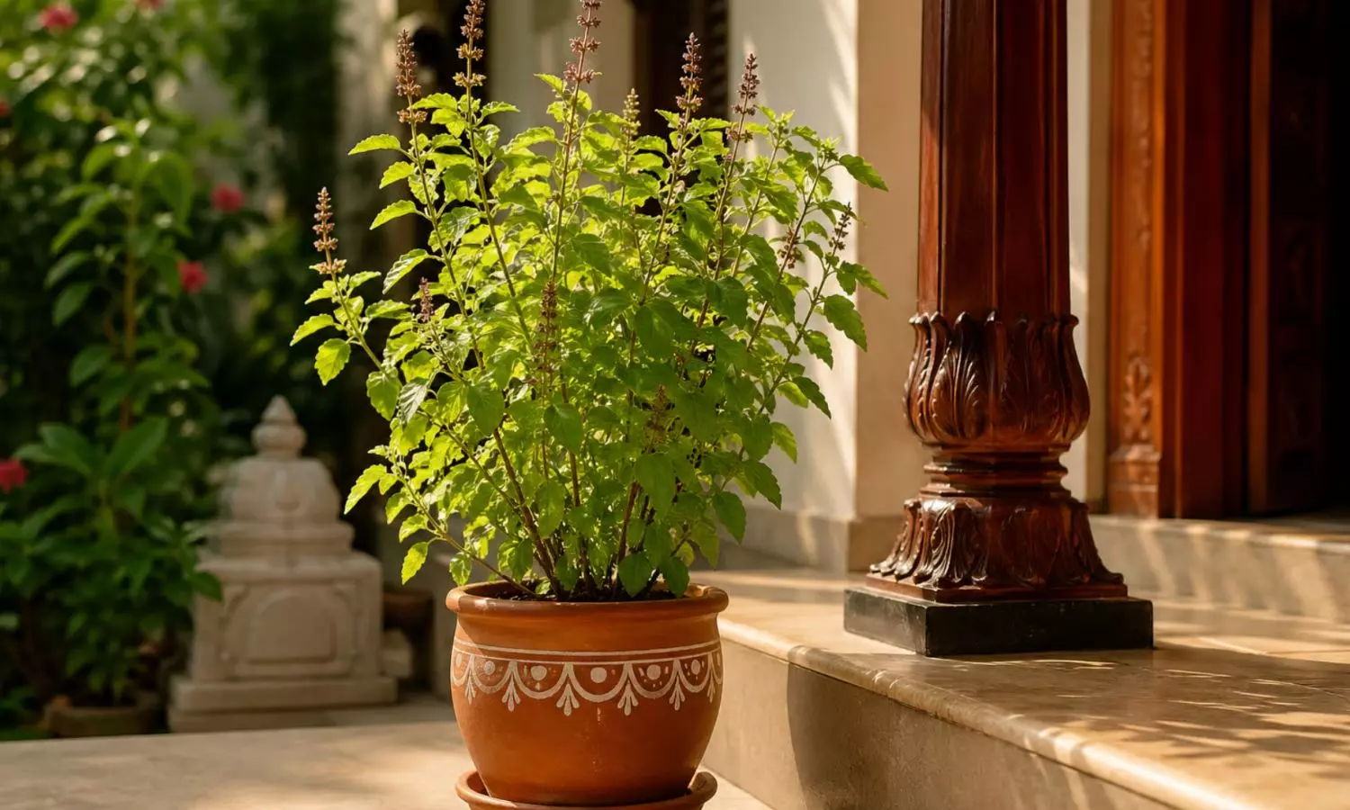 Tulsi Plant Care Tips