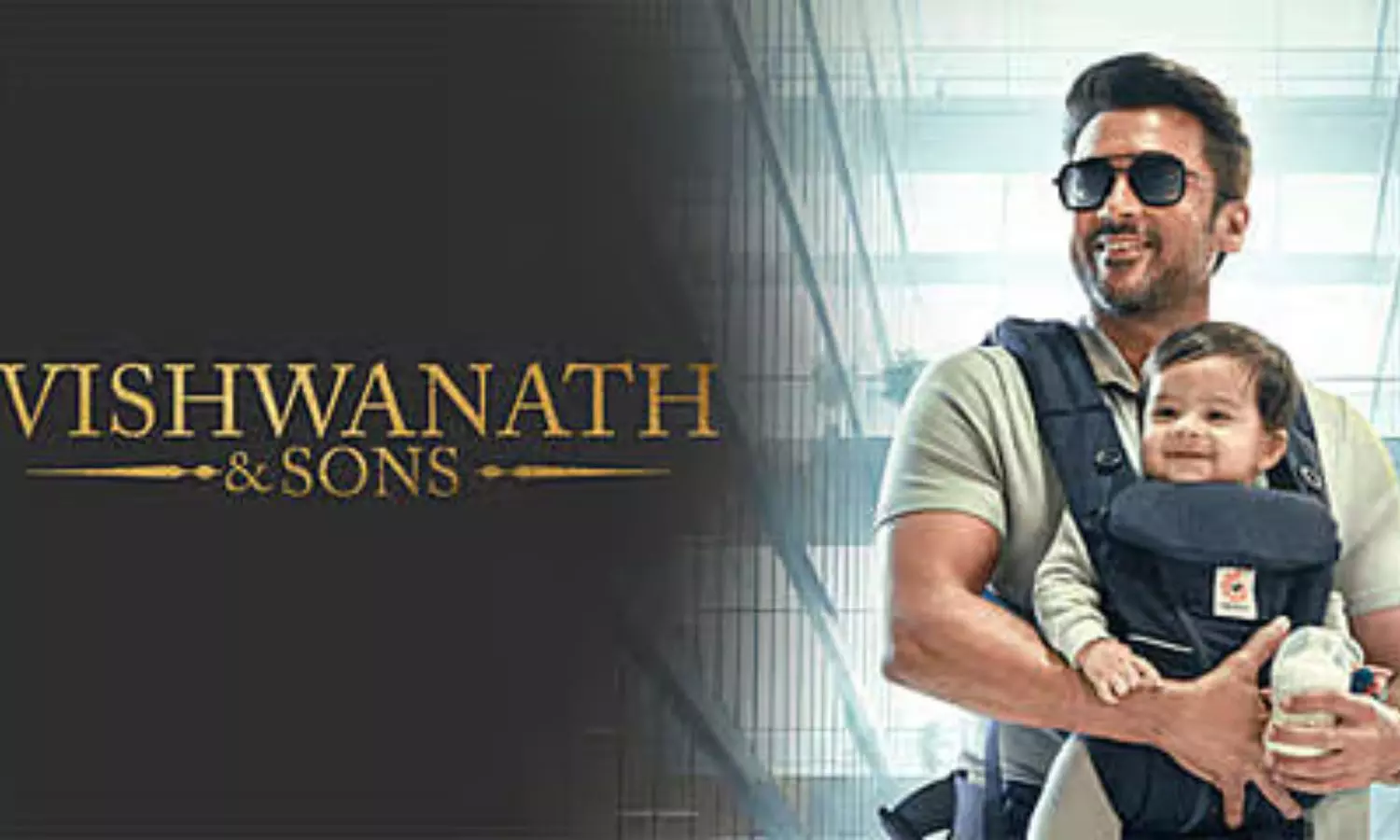 Viswanath And Sons