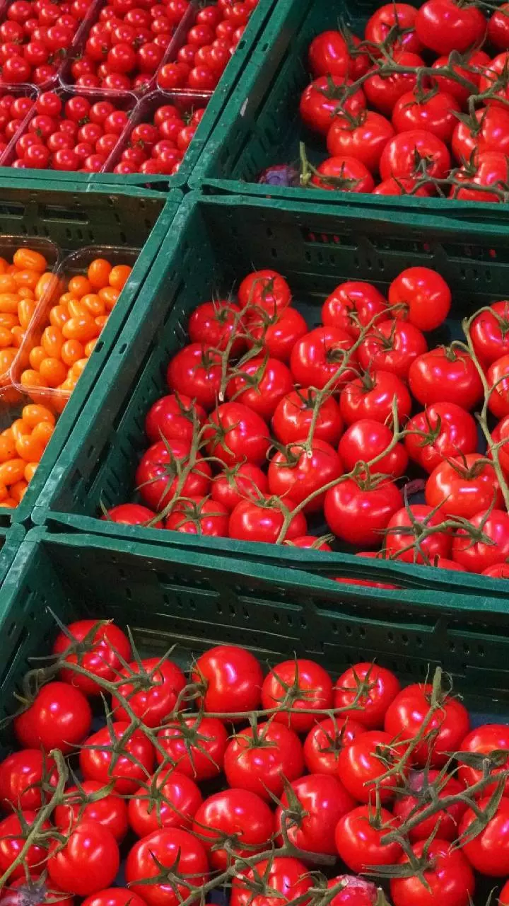 Tomato: టమాటాతో ఫ్యాటీ లివర్‌కు చెక్?.. పరిశోధనలు చెబుతున్న అసలు నిజాలివే
