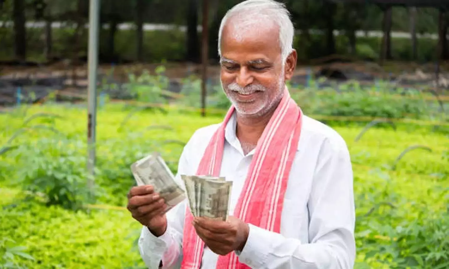 Farmer Bonus