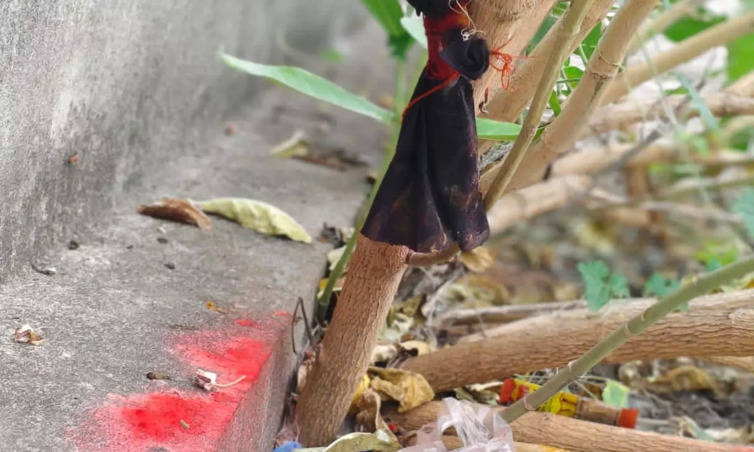 Pegadapalli