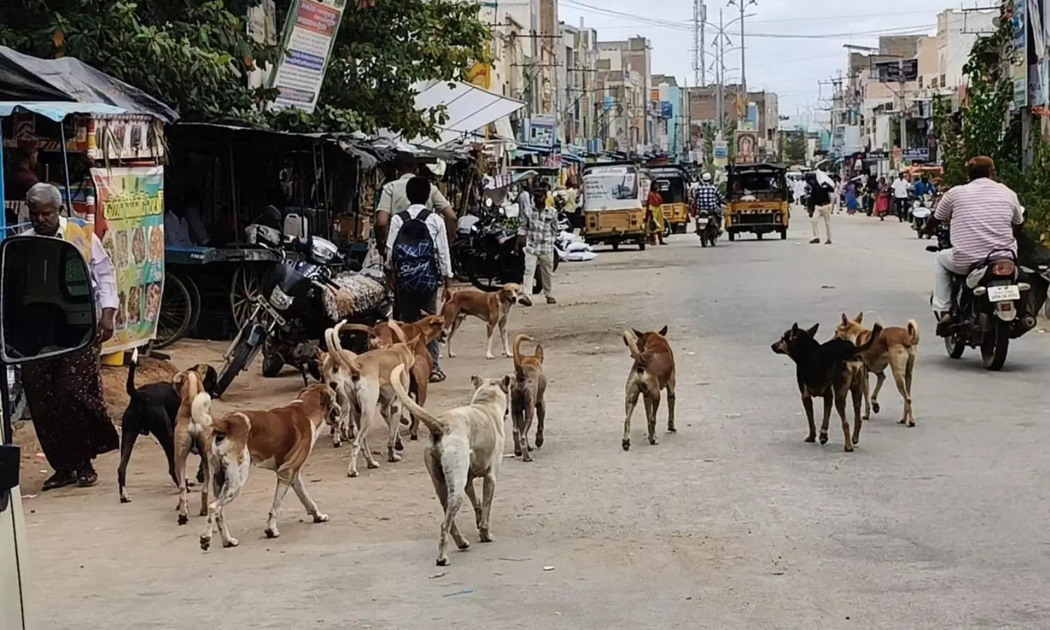 Rayachoti