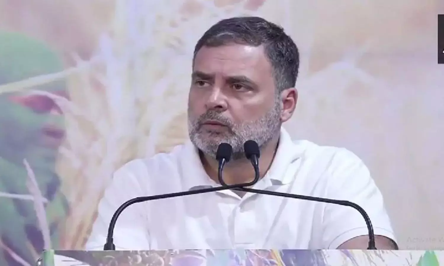 Rahul Gandhi Rahul Gandhi