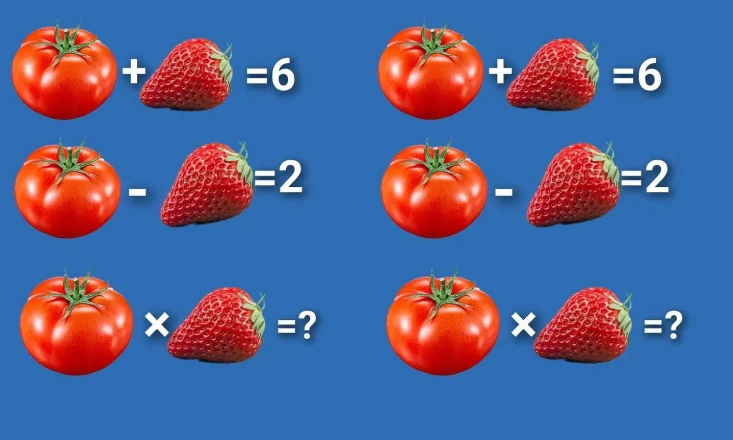 Brain Test Brain Test