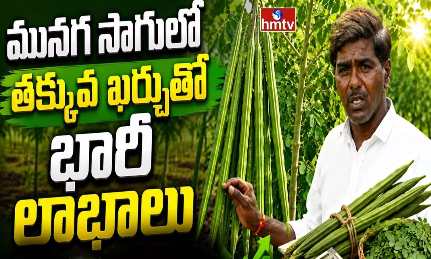 Drumstick Farming Success Story Drumstick Farming Success Story
