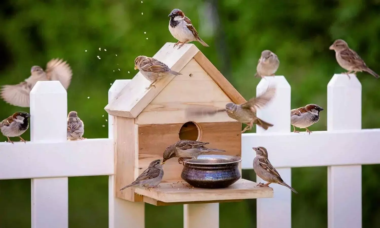 Animals Entering Home: ఇవి మీ ఇంటికి వస్తే...ఎంతటి దరిద్రుడైనా సరే అదృష్టవంతుడిగా మారిపోవాల్సిందే Animals Entering Home: ఇవి మీ ఇంటికి వస్తే...ఎంతటి దరిద్రుడైనా సరే అదృష్టవంతుడిగా మారిపోవాల్సిందే
