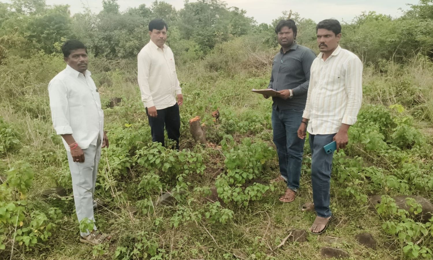 కౌడిపల్లిలో ప్రభుత్వ భూమిలో చెట్ల నరికివేతపై కలకలం