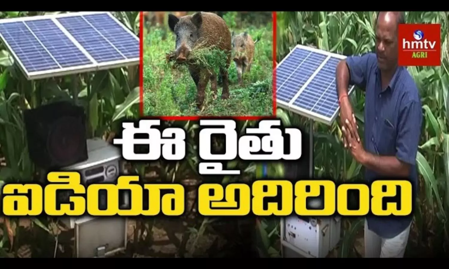 అడవి పందుల బెడదకు చెక్.. 8వ తరగతి రైతు కనిపెట్టిన సోలార్ యాంటీ-సౌండ్ పరికరం! అడవి పందుల బెడదకు చెక్.. 8వ తరగతి రైతు కనిపెట్టిన సోలార్ యాంటీ-సౌండ్ పరికరం!